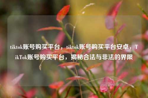 tiktok账号购买平台，tiktok账号购买平台安卓，TikTok账号购买平台，揭秘合法与非法的界限