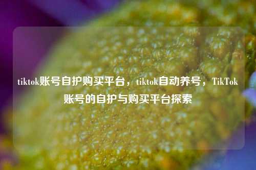 tiktok账号自护购买平台，tiktok自动养号，TikTok账号的自护与购买平台探索