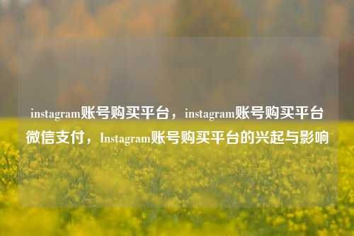 instagram账号购买平台，instagram账号购买平台微信支付，Instagram账号购买平台的兴起与影响