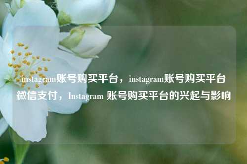 instagram账号购买平台，instagram账号购买平台微信支付，Instagram 账号购买平台的兴起与影响