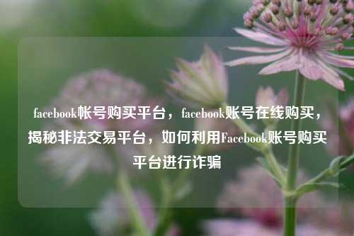facebook帐号购买平台，facebook账号在线购买，揭秘非法交易平台，如何利用Facebook账号购买平台进行诈骗