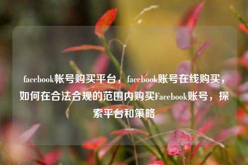 facebook帐号购买平台，facebook账号在线购买，如何在合法合规的范围内购买Facebook账号，探索平台和策略