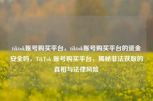 tiktok账号购买平台，tiktok账号购买平台的资金安全吗，TikTok 账号购买平台，揭秘非法获取的真相与法律风险