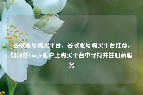 谷歌账号购买平台，谷歌账号购买平台推荐，如何在Google账户上购买平台中寻找并注册新服务