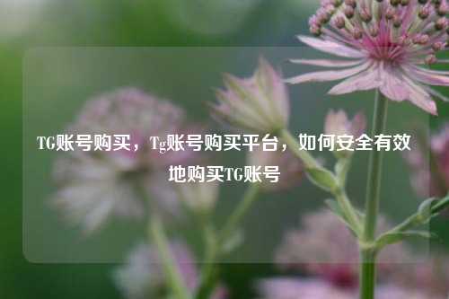 TG账号购买，Tg账号购买平台，如何安全有效地购买TG账号