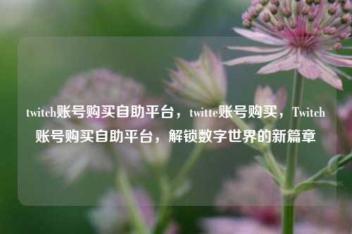 twitch账号购买自助平台，twitte账号购买，Twitch账号购买自助平台，解锁数字世界的新篇章