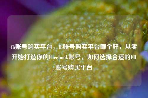 fb账号购买平台，fb账号购买平台哪个好，从零开始打造你的Facebook账号，如何选择合适的FB账号购买平台