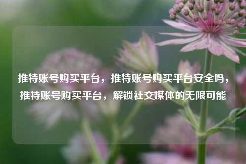 推特账号购买平台，推特账号购买平台安全吗，推特账号购买平台，解锁社交媒体的无限可能