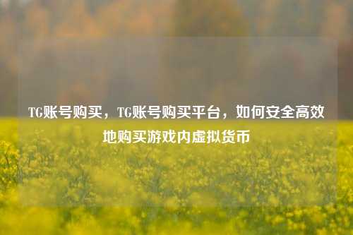 TG账号购买，TG账号购买平台，如何安全高效地购买游戏内虚拟货币
