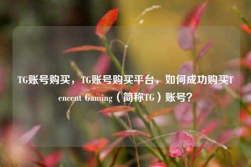 TG账号购买，TG账号购买平台，如何成功购买Tencent Gaming（简称TG）账号？