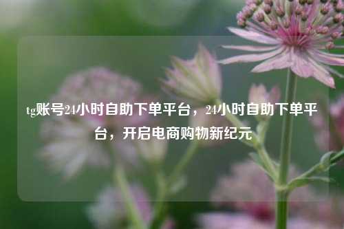 tg账号24小时自助下单平台，24小时自助下单平台，开启电商购物新纪元