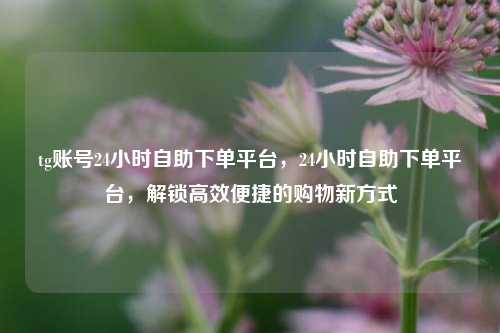tg账号24小时自助下单平台，24小时自助下单平台，解锁高效便捷的购物新方式