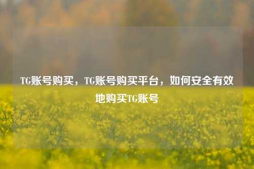 TG账号购买，TG账号购买平台，如何安全有效地购买TG账号
