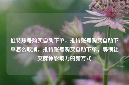 推特账号购买自助下单，推特账号购买自助下单怎么取消，推特账号购买自助下单，解锁社交媒体影响力的新方式