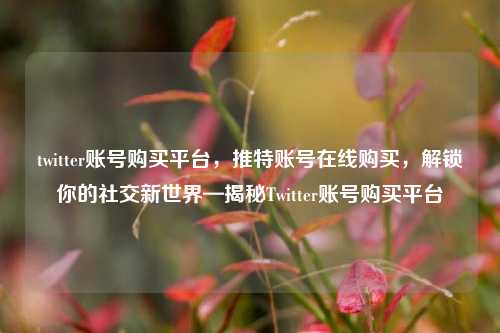 twitter账号购买平台，推特账号在线购买，解锁你的社交新世界—揭秘Twitter账号购买平台  第1张