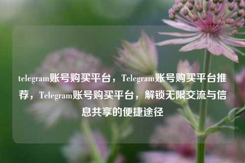 telegram账号购买平台，Telegram账号购买平台推荐，Telegram账号购买平台，解锁无限交流与信息共享的便捷途径