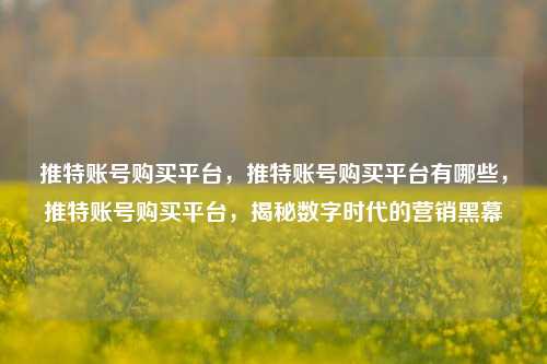 推特账号购买平台，推特账号购买平台有哪些，推特账号购买平台，揭秘数字时代的营销黑幕
