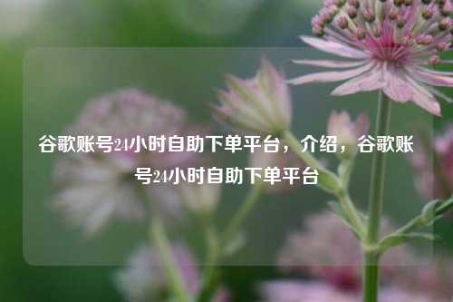 谷歌账号24小时自助下单平台，介绍	，谷歌账号24小时自助下单平台  第1张