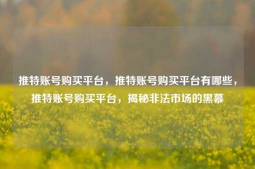 推特账号购买平台，推特账号购买平台有哪些，推特账号购买平台，揭秘非法市场的黑幕