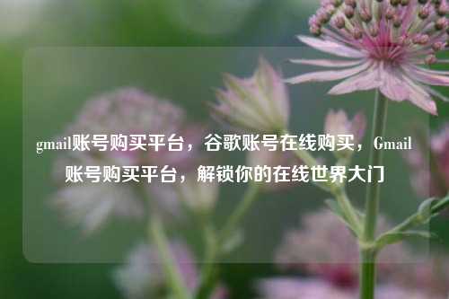 gmail账号购买平台，谷歌账号在线购买，Gmail账号购买平台，解锁你的在线世界大门