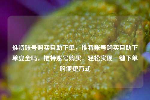 推特账号购买自助下单，推特账号购买自助下单安全吗，推特账号购买，轻松实现一键下单的便捷方式