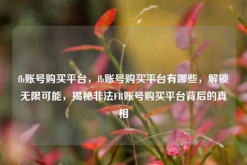 fb账号购买平台，fb账号购买平台有哪些，解锁无限可能，揭秘非法FB账号购买平台背后的真相