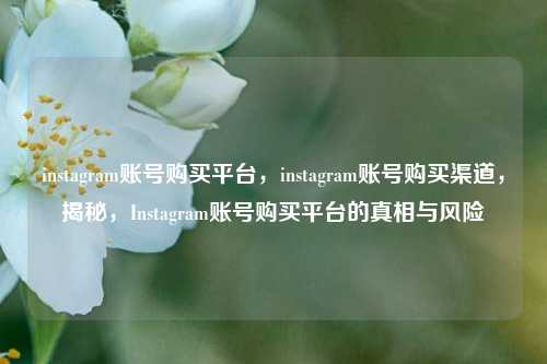 instagram账号购买平台，instagram账号购买渠道，揭秘，Instagram账号购买平台的真相与风险