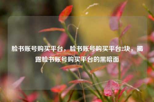 脸书账号购买平台，脸书账号购买平台2块，揭露脸书账号购买平台的黑暗面