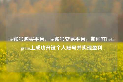 ins账号购买平台，ins账号交易平台，如何在Instagram上成功开设个人账号并实现盈利