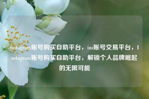 instagram账号购买自助平台，ins账号交易平台，Instagram账号购买自助平台，解锁个人品牌崛起的无限可能