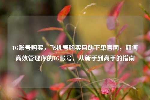 TG账号购买，飞机号购买自助下单官网，如何高效管理你的TG账号，从新手到高手的指南