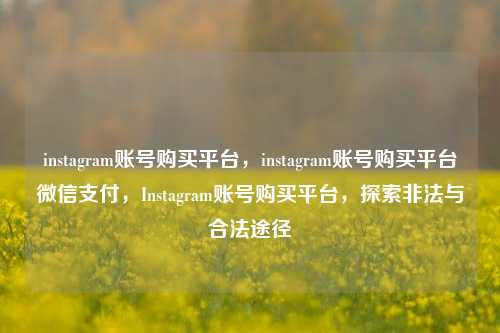 instagram账号购买平台	，instagram账号购买平台微信支付，Instagram账号购买平台，探索非法与合法途径  第1张