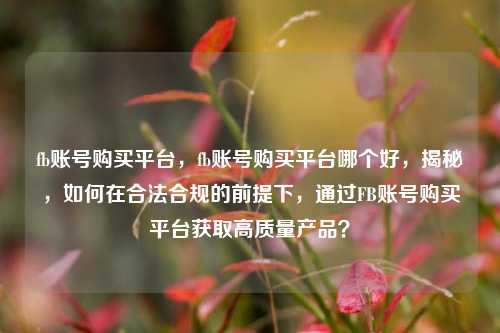 fb账号购买平台，fb账号购买平台哪个好，揭秘，如何在合法合规的前提下，通过FB账号购买平台获取高质量产品？