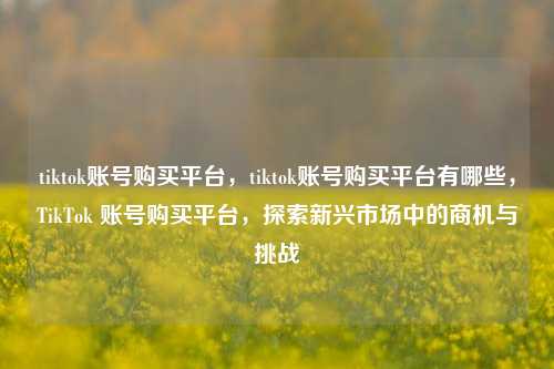 tiktok账号购买平台，tiktok账号购买平台有哪些，TikTok 账号购买平台，探索新兴市场中的商机与挑战