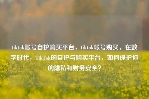 tiktok账号自护购买平台，tiktok帐号购买，在数字时代，TikTok的自护与购买平台，如何保护你的隐私和财务安全？