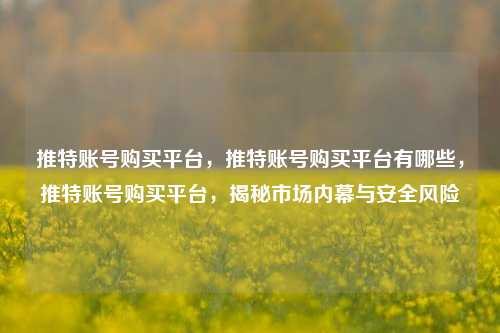 推特账号购买平台，推特账号购买平台有哪些，推特账号购买平台，揭秘市场内幕与安全风险