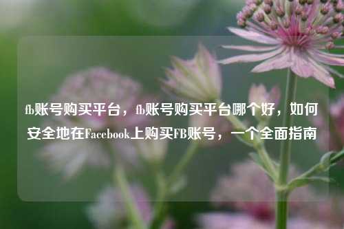 fb账号购买平台，fb账号购买平台哪个好，如何安全地在Facebook上购买FB账号，一个全面指南