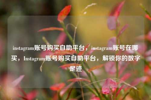 instagram账号购买自助平台，instagram账号在哪买，Instagram账号购买自助平台，解锁你的数字足迹