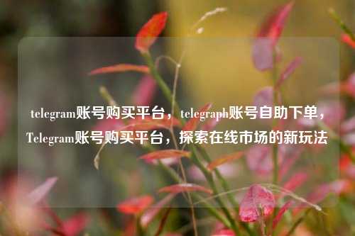 telegram账号购买平台	，telegraph账号自助下单，Telegram账号购买平台，探索在线市场的新玩法  第1张