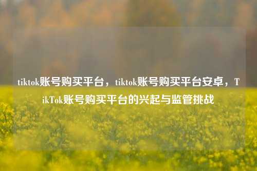 tiktok账号购买平台，tiktok账号购买平台安卓，TikTok账号购买平台的兴起与监管挑战