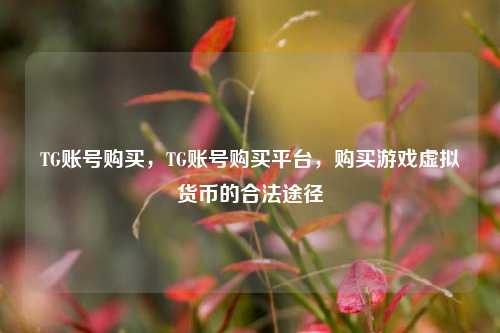 TG账号购买，TG账号购买平台	，购买游戏虚拟货币的合法途径  第1张