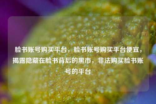 脸书账号购买平台，脸书账号购买平台便宜，揭露隐藏在脸书背后的黑市，非法购买脸书账号的平台