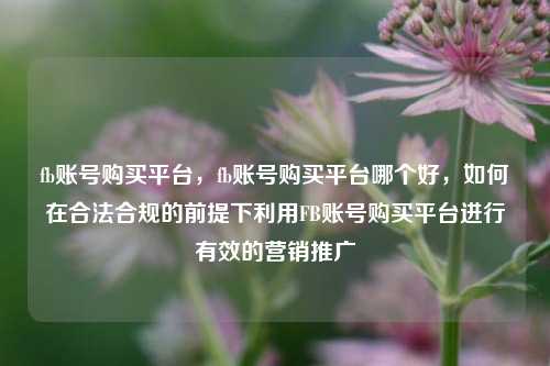 fb账号购买平台，fb账号购买平台哪个好，如何在合法合规的前提下利用FB账号购买平台进行有效的营销推广