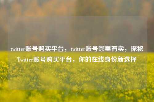 twitter账号购买平台，twitter账号哪里有卖，探秘Twitter账号购买平台，你的在线身份新选择