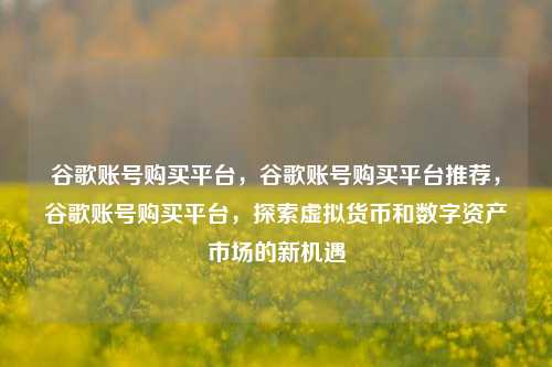 谷歌账号购买平台，谷歌账号购买平台推荐，谷歌账号购买平台，探索虚拟货币和数字资产市场的新机遇