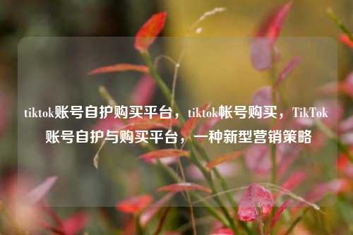 tiktok账号自护购买平台，tiktok帐号购买，TikTok 账号自护与购买平台，一种新型营销策略