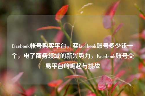facebook帐号购买平台，买facebook账号多少钱一个，电子商务领域的新兴势力	，Facebook账号交易平台的崛起与挑战  第1张