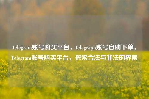 telegram账号购买平台	，telegraph账号自助下单，Telegram账号购买平台，探索合法与非法的界限  第1张