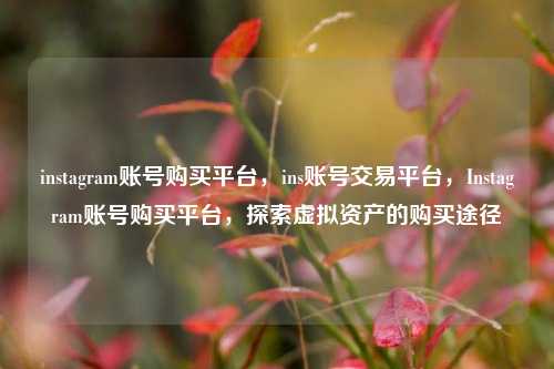 instagram账号购买平台，ins账号交易平台，Instagram账号购买平台，探索虚拟资产的购买途径