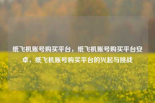 纸飞机账号购买平台	，纸飞机账号购买平台安卓，纸飞机账号购买平台的兴起与挑战  第1张